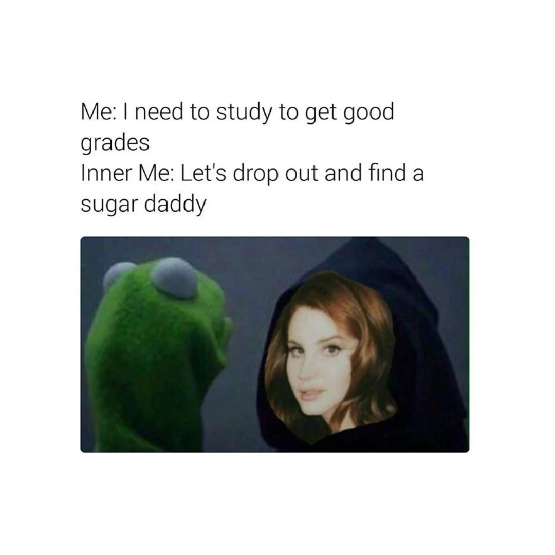 sugar baby meme