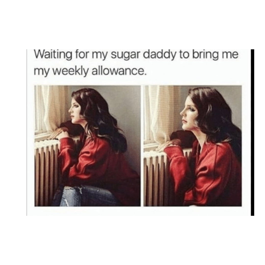 looking for a sugar baby meme