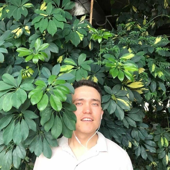 mikfwb Profile image 1